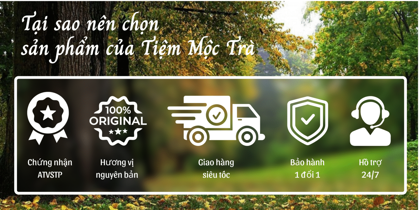li-do-chon-tiem-moc-tra