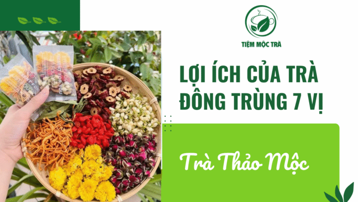 loi-ich-cua-tra-dong-trung-7-vi