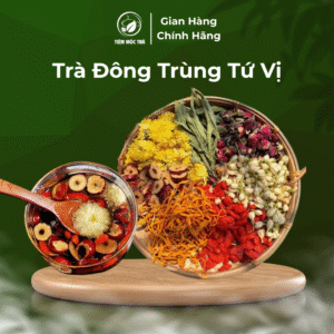 Trà Đông Trùng Tứ Vị – Phục hồi sinh lực, da sáng mịn, hồng hào – Tiệm Mộc Trà