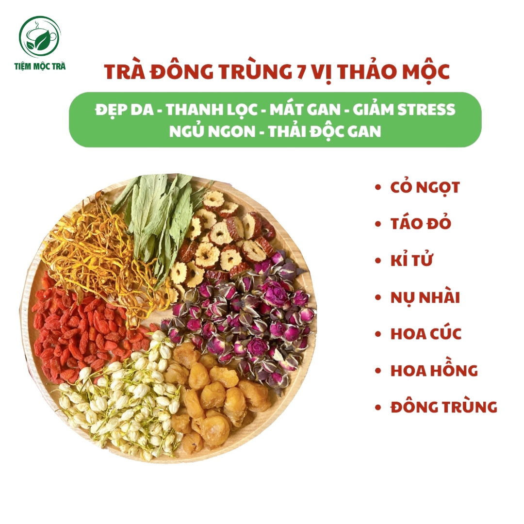 uống trà đông trùng hạ thảo có tác dụng gì