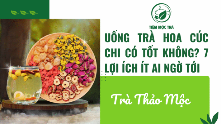 Uống Trà Hoa Cúc chi Có Tốt Không? 7 Lợi Ích Ít Ai Ngờ Tới