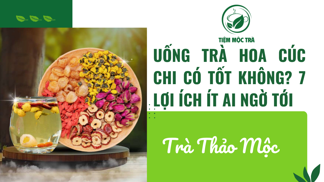 Uống Trà Hoa Cúc chi Có Tốt Không? 7 Lợi Ích Ít Ai Ngờ Tới